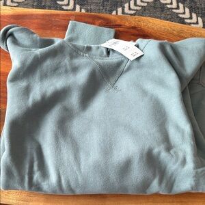 Abercrombie & Fitch Sage Green Hoodie